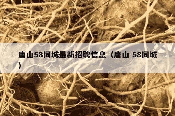 唐山58同城最新招聘信息（唐山 58同城）