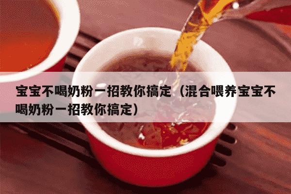 宝宝不喝奶粉一招教你搞定（混合喂养宝宝不喝奶粉一招教你搞定）