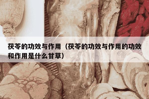茯苓的功效与作用（茯苓的功效与作用的功效和作用是什么甘草）