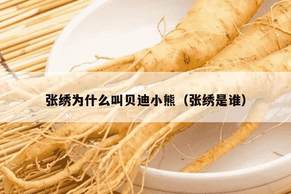 张绣为什么叫贝迪小熊（张绣是谁）