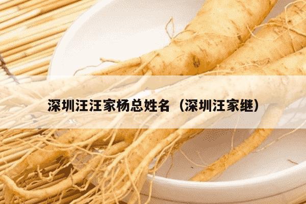 深圳汪汪家杨总姓名（深圳汪家继）