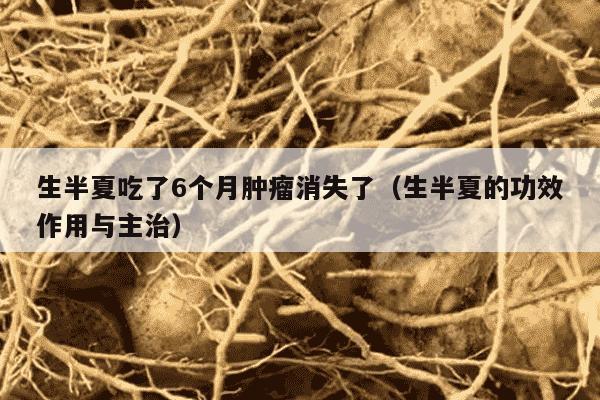 生半夏吃了6个月肿瘤消失了（生半夏的功效作用与主治）