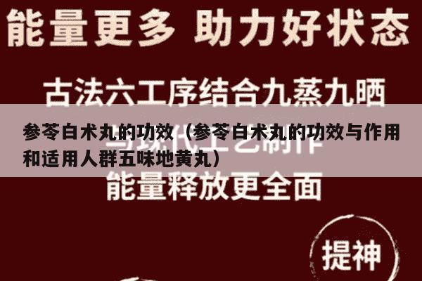 参苓白术丸的功效（参苓白术丸的功效与作用和适用人群五味地黄丸）