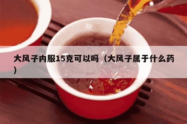 大风子内服15克可以吗（大风子属于什么药）