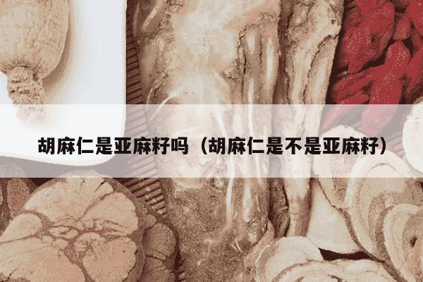 胡麻仁是亚麻籽吗（胡麻仁是不是亚麻籽）