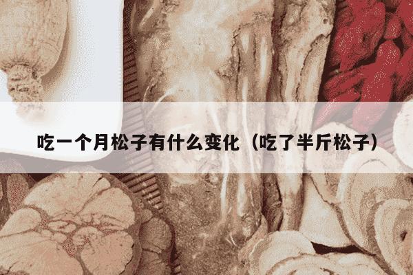 吃一个月松子有什么变化（吃了半斤松子）