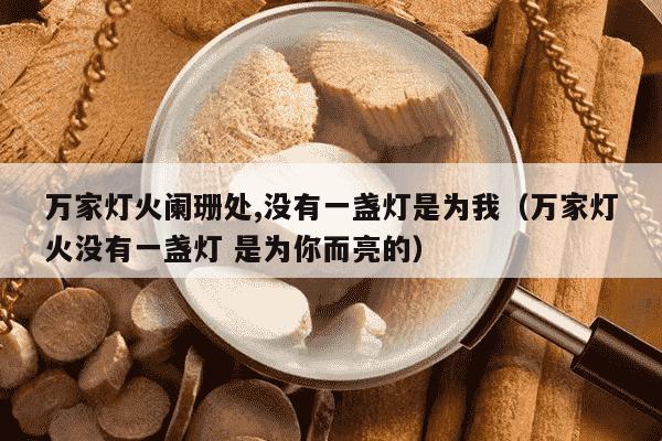 万家灯火阑珊处,没有一盏灯是为我（万家灯火没有一盏灯 是为你而亮的）