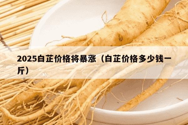 2025白芷价格将暴涨（白芷价格多少钱一斤）
