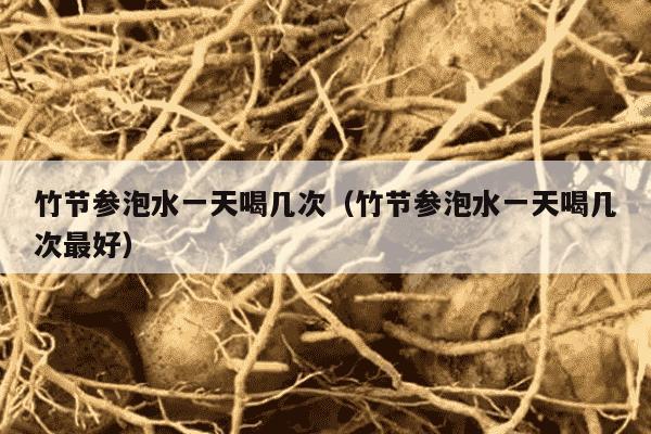 竹节参泡水一天喝几次（竹节参泡水一天喝几次最好）