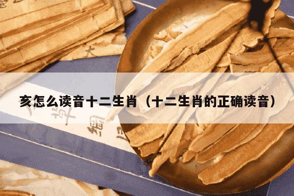 亥怎么读音十二生肖（十二生肖的正确读音）