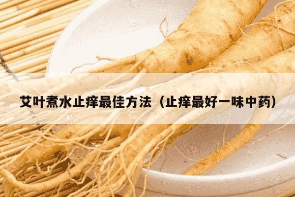 艾叶煮水止痒最佳方法（止痒最好一味中药）