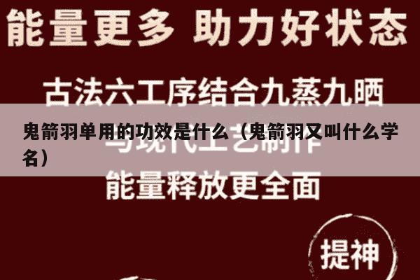 鬼箭羽单用的功效是什么（鬼箭羽又叫什么学名）