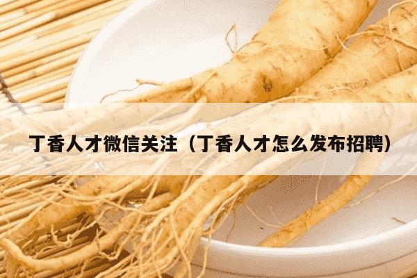 丁香人才微信关注（丁香人才怎么发布招聘）