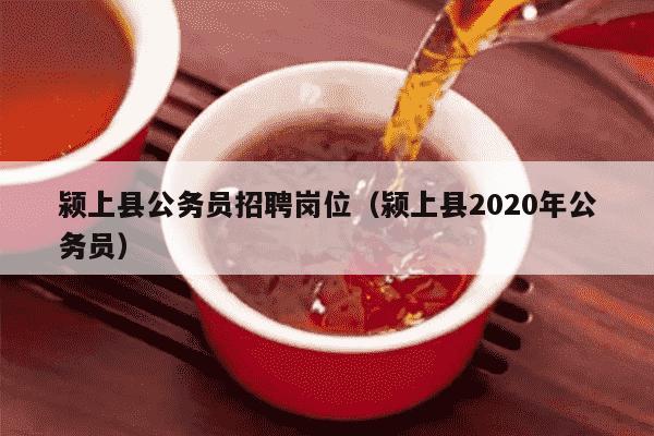 颍上县公务员招聘岗位（颍上县2020年公务员）