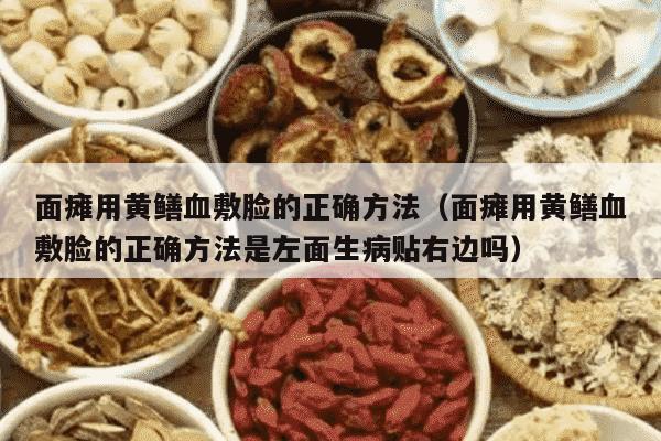 面瘫用黄鳝血敷脸的正确方法（面瘫用黄鳝血敷脸的正确方法是左面生病贴右边吗）
