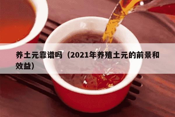 养土元靠谱吗（2021年养殖土元的前景和效益）