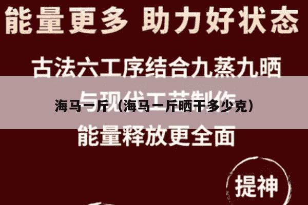 海马一斤（海马一斤晒干多少克）