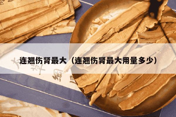 连翘伤肾最大（连翘伤肾最大用量多少）