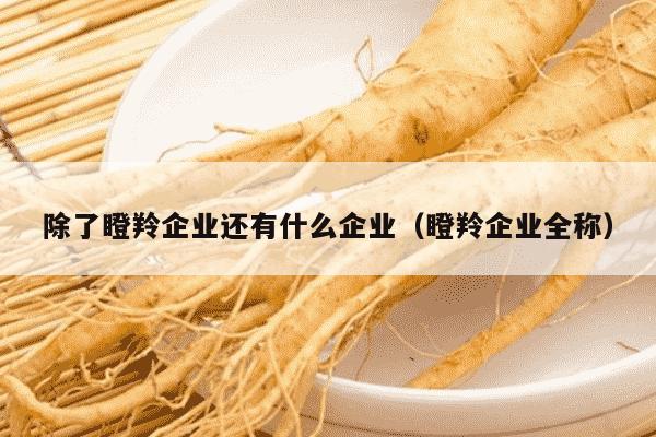 除了瞪羚企业还有什么企业（瞪羚企业全称）