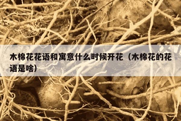 木棉花花语和寓意什么时候开花（木棉花的花语是啥）