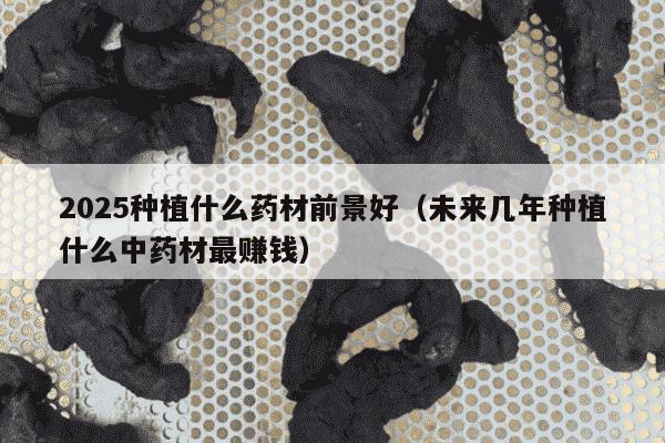 2025种植什么药材前景好（未来几年种植什么中药材最赚钱）