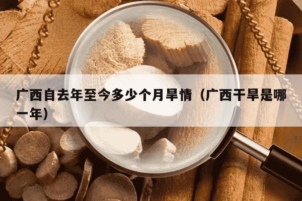 广西自去年至今多少个月旱情（广西干旱是哪一年）