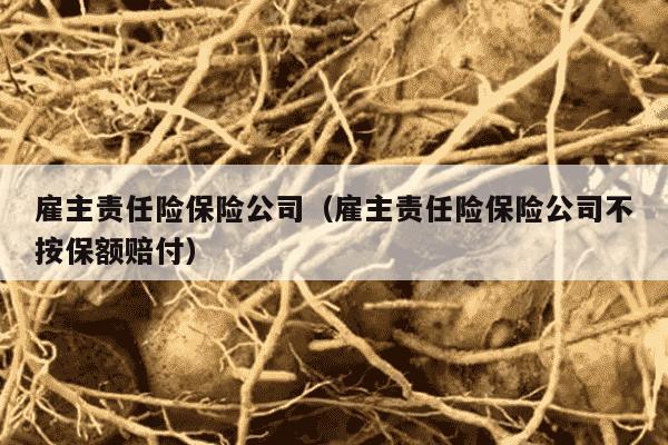 雇主责任险保险公司（雇主责任险保险公司不按保额赔付）