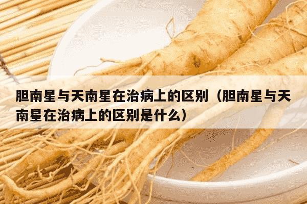 胆南星与天南星在治病上的区别（胆南星与天南星在治病上的区别是什么）