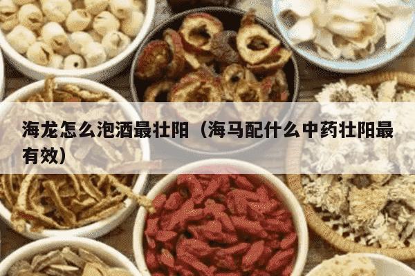 海龙怎么泡酒最壮阳（海马配什么中药壮阳最有效）