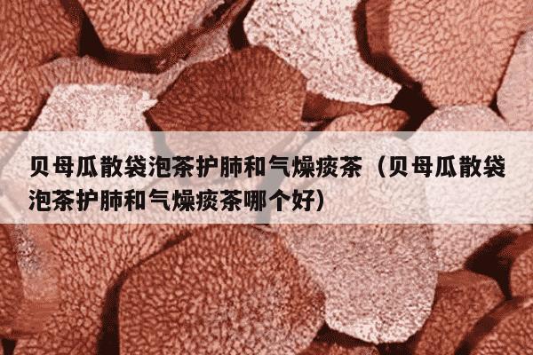贝母瓜散袋泡茶护肺和气燥痰茶（贝母瓜散袋泡茶护肺和气燥痰茶哪个好）