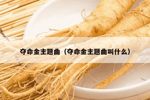 夺命金主题曲（夺命金主题曲叫什么）