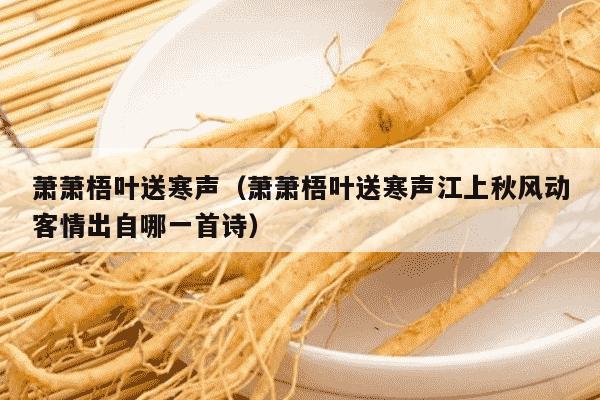 萧萧梧叶送寒声（萧萧梧叶送寒声江上秋风动客情出自哪一首诗）