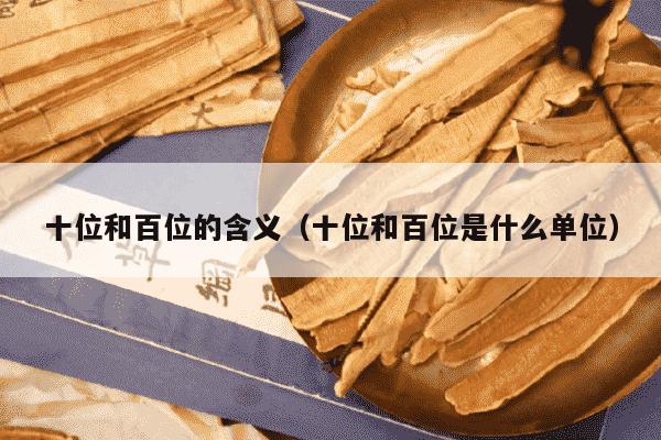 十位和百位的含义（十位和百位是什么单位）