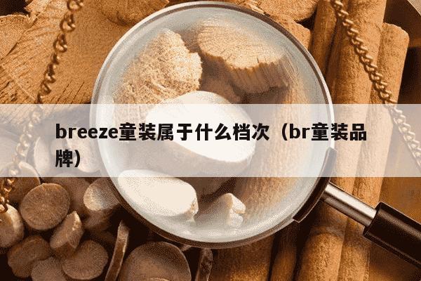 breeze童装属于什么档次（br童装品牌）