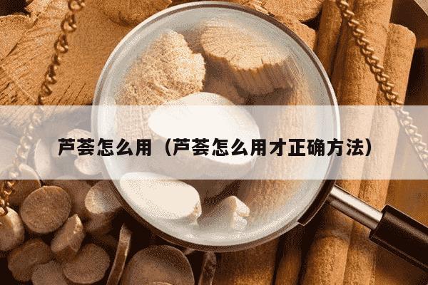 芦荟怎么用（芦荟怎么用才正确方法）