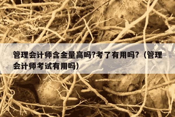 管理会计师含金量高吗?考了有用吗?（管理会计师考试有用吗）