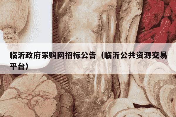 临沂政府采购网招标公告（临沂公共资源交易平台）