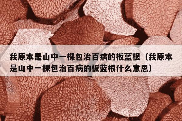 我原本是山中一棵包治百病的板蓝根（我原本是山中一棵包治百病的板蓝根什么意思）