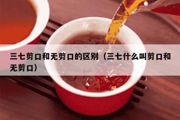 三七剪口和无剪口的区别（三七什么叫剪口和无剪口）