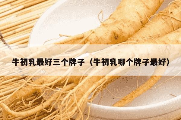 牛初乳最好三个牌子（牛初乳哪个牌子最好）