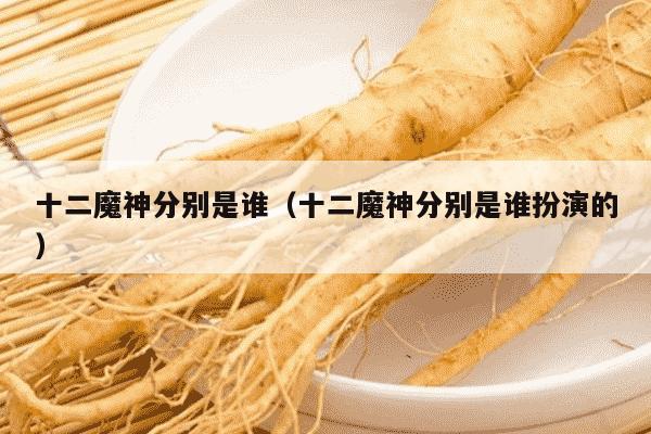 十二魔神分别是谁（十二魔神分别是谁扮演的）
