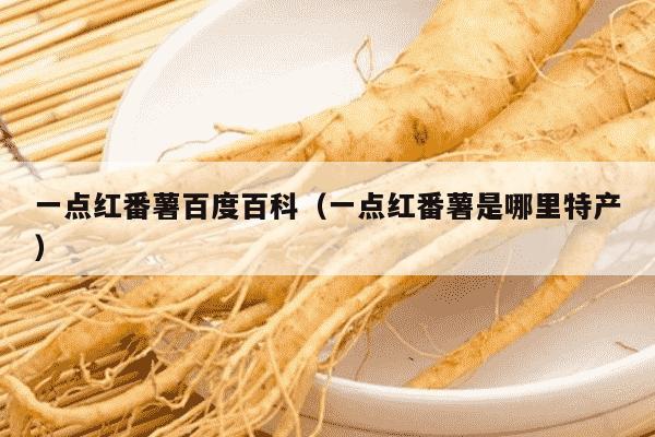 一点红番薯百度百科（一点红番薯是哪里特产）