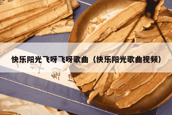 快乐阳光飞呀飞呀歌曲（快乐阳光歌曲视频）