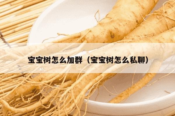 宝宝树怎么加群（宝宝树怎么私聊）