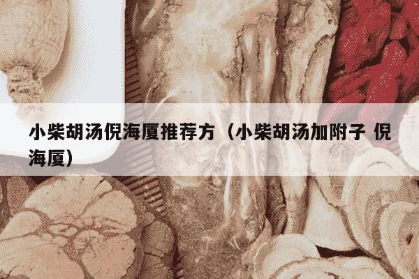 小柴胡汤倪海厦推荐方（小柴胡汤加附子 倪海厦）