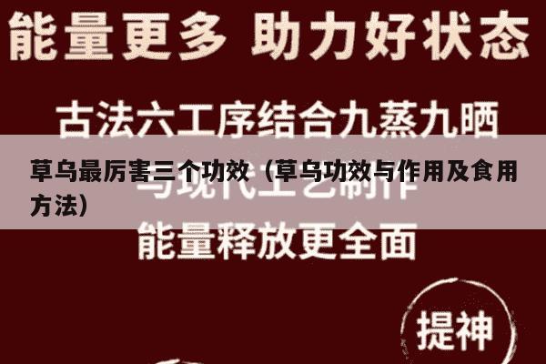 草乌最厉害三个功效（草乌功效与作用及食用方法）