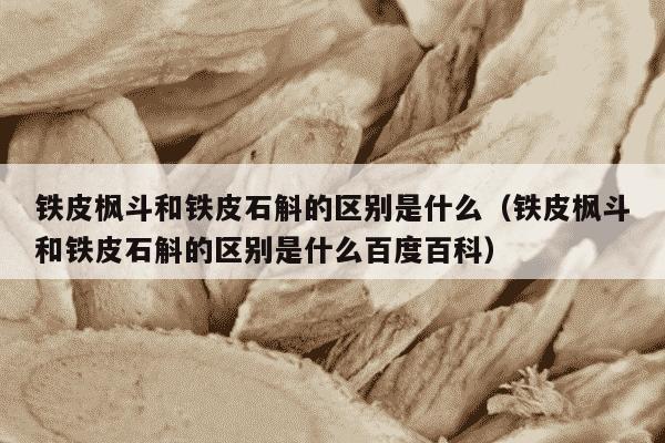 铁皮枫斗和铁皮石斛的区别是什么（铁皮枫斗和铁皮石斛的区别是什么百度百科）