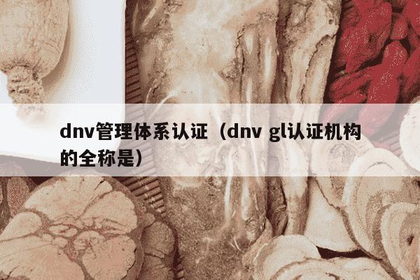 dnv管理体系认证（dnv gl认证机构的全称是）