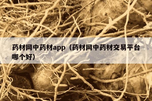 药材网中药材app（药材网中药材交易平台哪个好）
