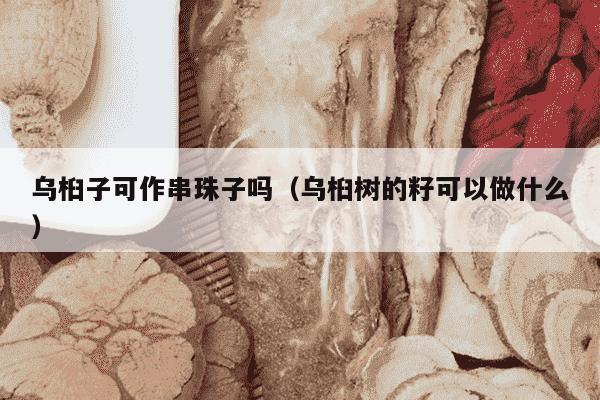 乌桕子可作串珠子吗（乌桕树的籽可以做什么）